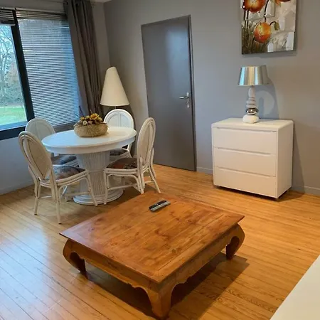 Ferienwohnung Lumineux T2B A Mont De Marsan Exterior foto